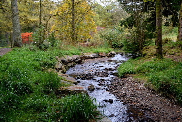 Stream, Gortin Glens Forest © Kenneth Allen cc-by-sa/2.0 :: Geograph ...