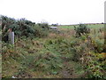 Overgrown track that leads to North Strone