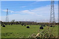 ST3484 : Mown meadow, Great Traston Meadows LNR by M J Roscoe