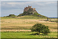 NU1341 : Lindisfarne Castle by Ian Capper