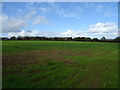 Field off the A477 near Milton