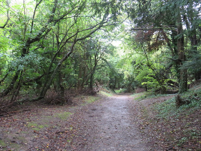 Path through woodland near Godstone