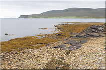 HY2403 : Seaweed on the shore at Moaness by Bill Boaden