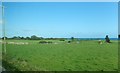 Cliff top fields between the A2 at Georges Quay and the sea