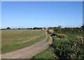 Farm access road