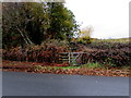 Gate to a track in Pentwyn, Torfaen