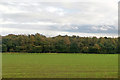 View over field to Brotherworth Banks