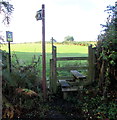 Stile access to a public footpath through a field, Buckley