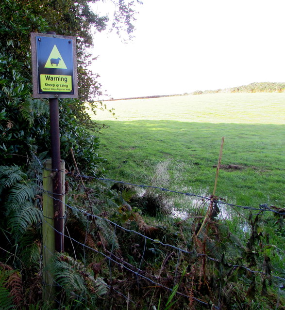 Warning - Sheep grazing - Please keep... © Jaggery :: Geograph Britain ...