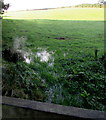 Waterlogged field entrance in the east of Buckley