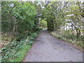 Tree-lined track leading to North Fornet