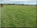 Public bridleway to Bascodyke Head