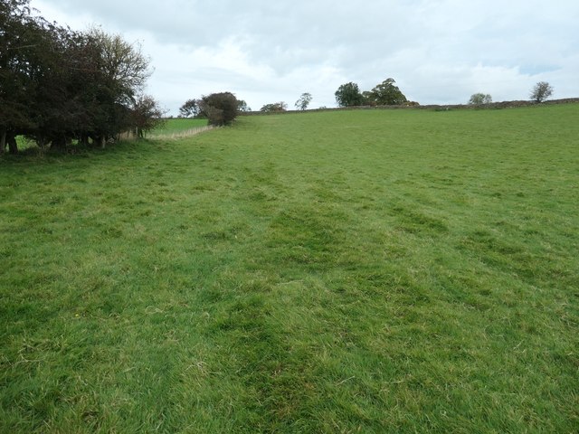 Public footpath to Rowfoot, west of Aimbank