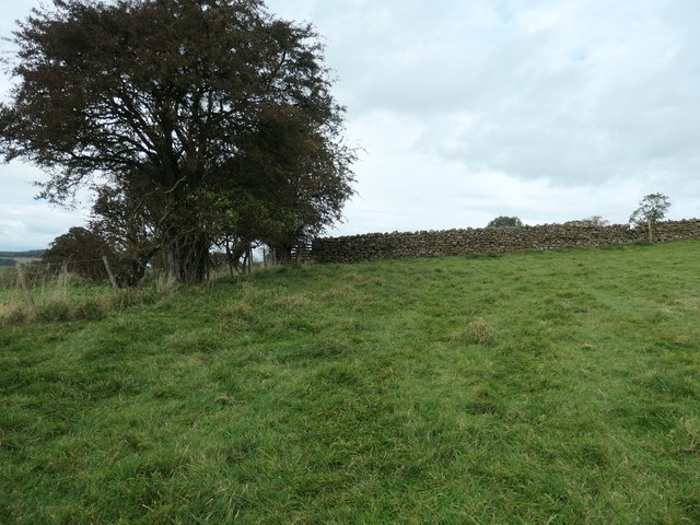 Public footpath, north-west of Aimbank