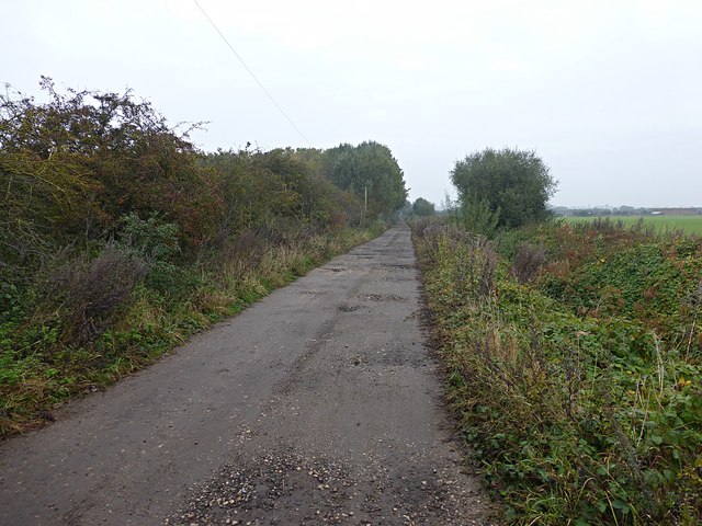 Footpath and farm track beside Langholme Wood