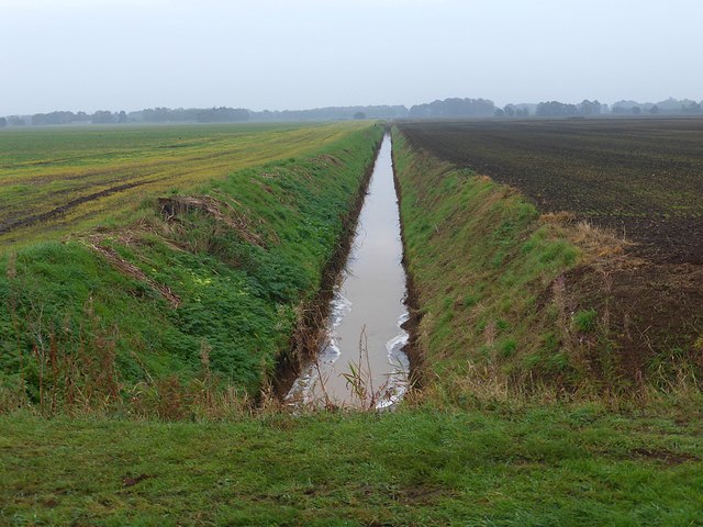 Field drain