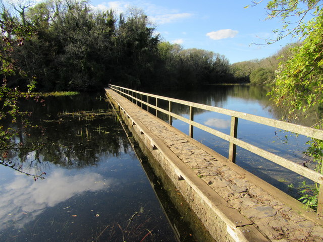 Footbridge over the lily ponds
