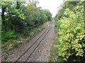 ST1727 : The line east, to Taunton, from Deane Bridge by Roger Cornfoot