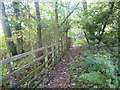 Path by the Hereford, Hay and Brecon Railway Line (Whitney-on-Wye)