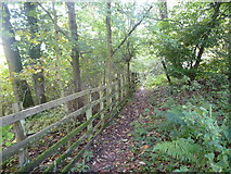 SO2647 : Path by the Hereford, Hay and Brecon Railway Line (Whitney-on-Wye) by Fabian Musto