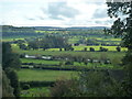 The River Wye (Whitney-on-Wye)