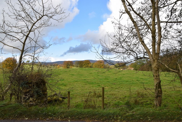 Bracky Townland © Kenneth Allen cc-by-sa/2.0 :: Geograph Ireland