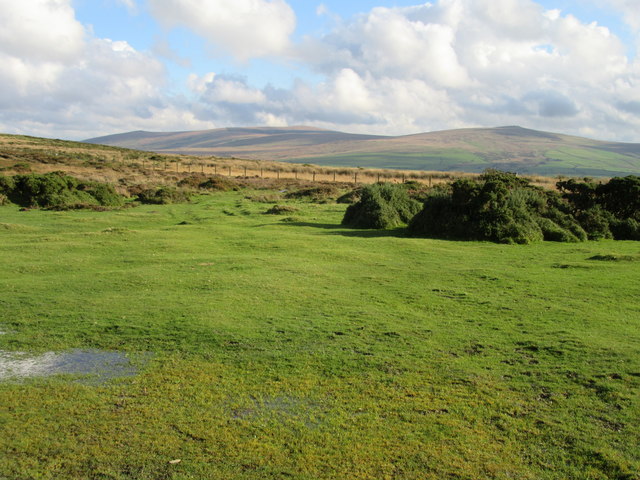 Boggy land near Bedd Morris