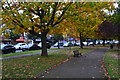 Autumn at The Oval