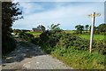 The Wales Coast Path at Lon Penrallt