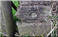 NX9920 : Benchmark on wall end on NW side of minor road SW of High Farm by Luke Shaw