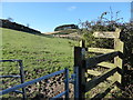 Scene on the footpath towards Bromlow Callow, Shropshire