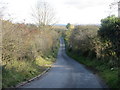 Road in the Braes of the Carse