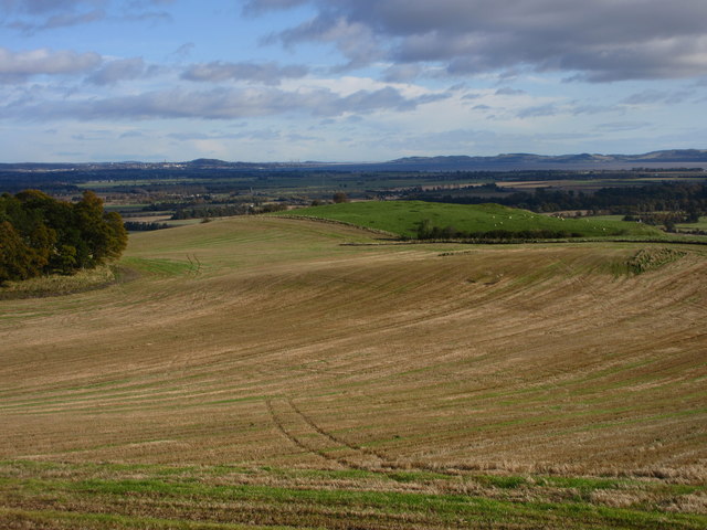 High field near Over Durdie