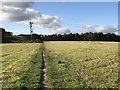 Field, wood and communication mast