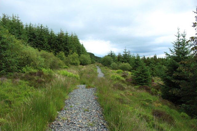 The Southern upland Way in Kilgallioch Forest