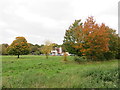 TQ3758 : Autumn colour on Chelsham Common, near Warlingham by Malc McDonald