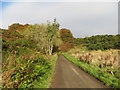 Minor road between Lochodley and Kirton of Balfour