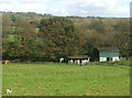 Grazing near Templeton