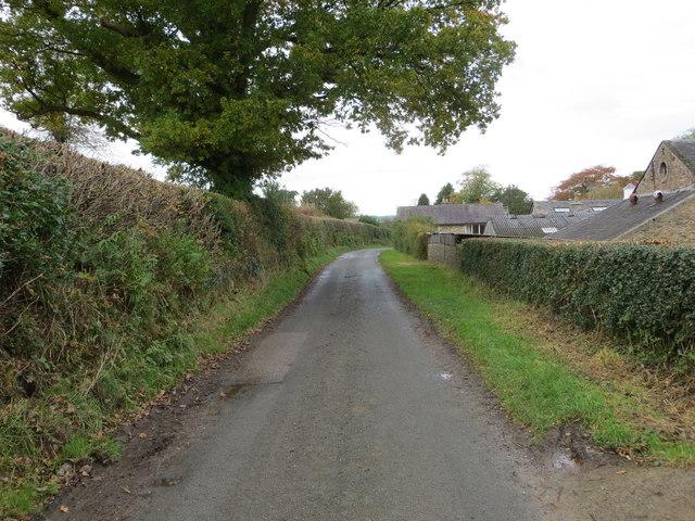 A hedge-lined Back Lane in Wrayton © Peter Wood cc-by-sa/2.0 ...