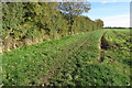 Bridleway towards the A6