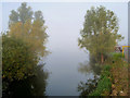 River Nene at Great Billing