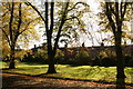 House backs, Louise Road, viewed from the Racecourse (2)