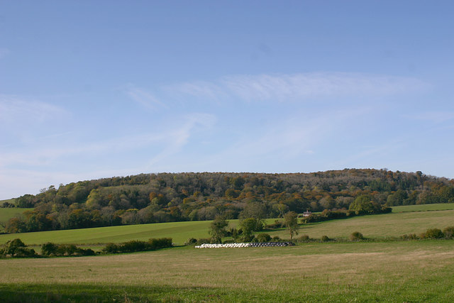 Nore Hill, north-west of Slindon