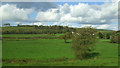 Grazing near Lan-y-gors