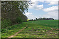 TL7128 : Footpath from Shalford towards Shalford Green by Robin Webster