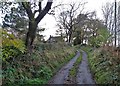 Wetley Lane leading to Ford Wetley House