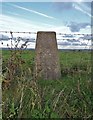 Triangulation pillar S2616 on Grindon Moor