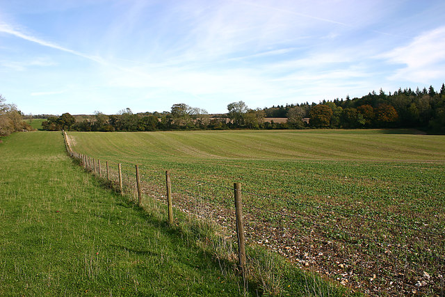 Downland landscape beside Monarch's Way footpath