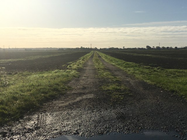 Farm track through ploughed fields
