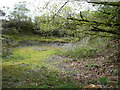 Former quarry, Llanegwad